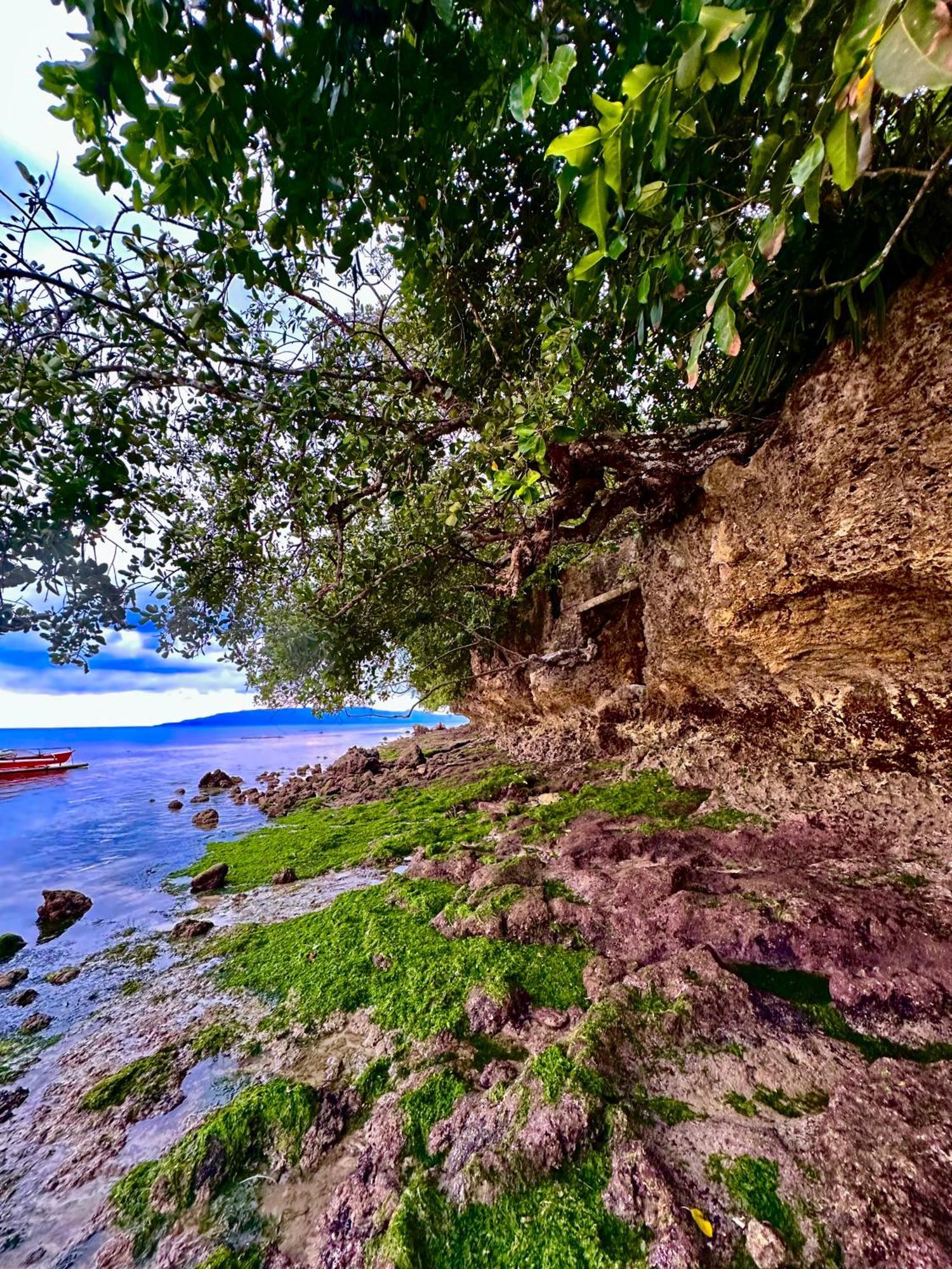 Sapphire Boutique Resort Panglao Island Exterior photo